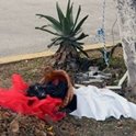 Magia negra en plena calle en Cancún