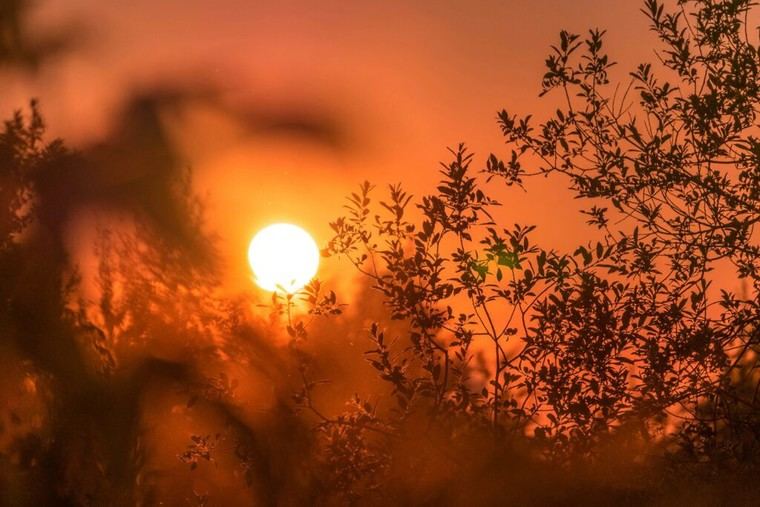 España 2024: Calor extremo y riadas en Valencia marcan el año
