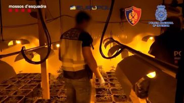 Cae en España una organización criminal con más de 100 detenidos