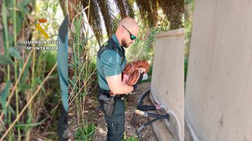 Abandona a su hijo nada más nacer en una vivienda en ruinas