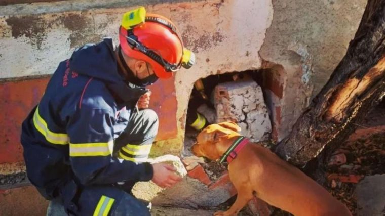 Un bombero fuera de servicio y su perra rescatan a un hombre perdido
