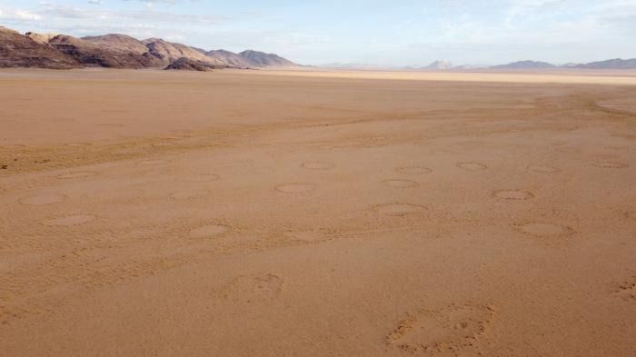 Círculos de hadas en Namibia, por Audi Ekandjo