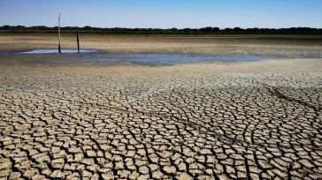 España arde: El verano de 2022 fue el más caluroso en 700 años