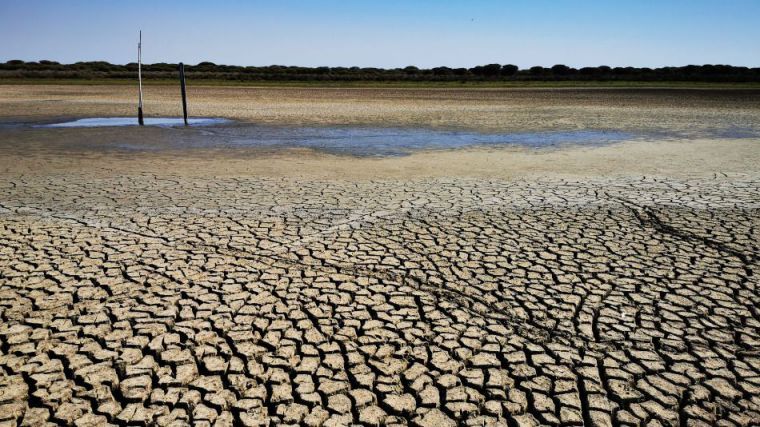 CSIC / Laguna de Santa Olalla, en Doñana, Carmen Díaz Paniagua