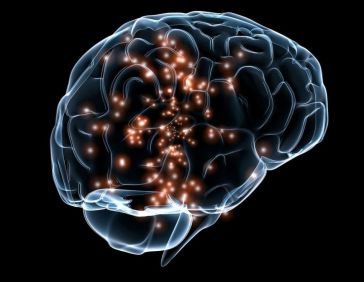 Cerebro humano 1 - Inteligencia artificial 0