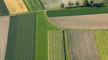 Seis personas acusadas de fraude en subsidios agrícolas en Croacia