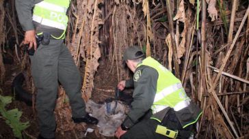 Encuentran en la basura a un bebé lleno de hormigas y tierra