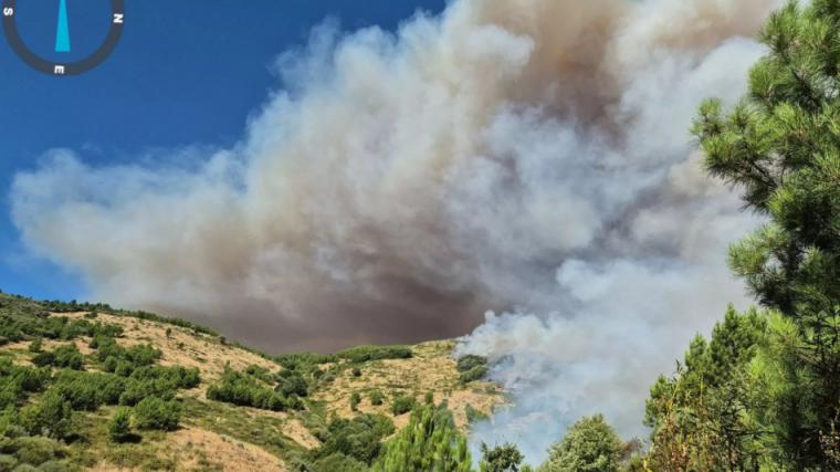 Alerta en España: El fuego que arrasa Ávila podría ser un acto criminal
