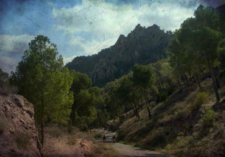 Desaparición en Murcia: Un ciclista hallado sin vida en un barranco tras una angustiosa búsqueda
