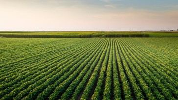 Al descubierto: Descubren cómo un exfuncionario croata manipuló subsidios agrícolas a gran escala