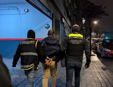 Desmantelan una red criminal que enviaba drogas a Islandia utilizando "mulas" humanas