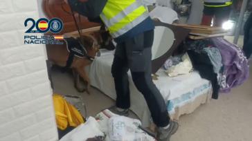 Desmantelan en Sevilla un clan familiar que explotaba laboralmente a temporeros rumanos