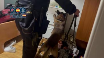 Cae una red criminal que explotaba laboralmente a migrantes en panaderías