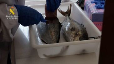 Detenidos dos hombres por vender pescado robado con residuos peligrosos
