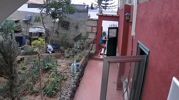 Capturan a un joven tras un aterrador asalto a una mujer en su hogar en Tenerife