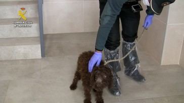 Extraditan a un criador de perros desde Venezuela tras huir de la justicia en España