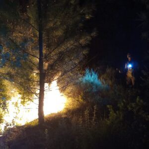Controlado un conato de incendio en la sierra de Los Álamos, Moratalla