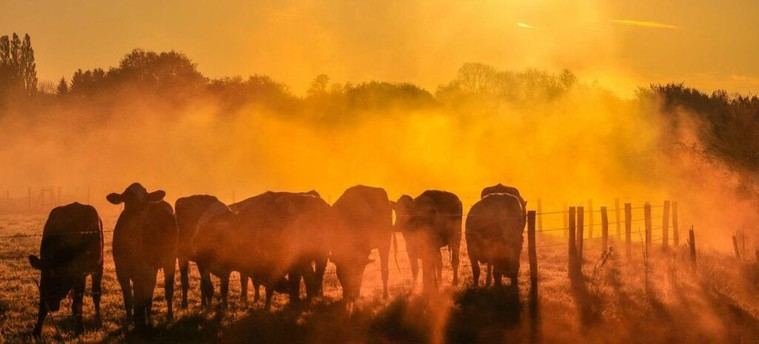 El 2025 podría ser uno de los años más cálidos registrados en la historia