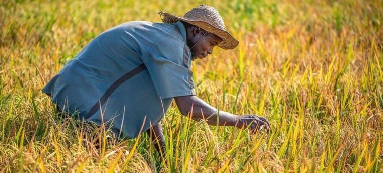 El calor extremo pone en riesgo la salud de millones de trabajadores al aire libre