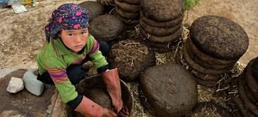 La alarmante realidad del trabajo infantil: ¿Por qué 138 millones de niños siguen atrapados?