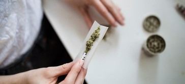 Revelador informe de la ONU: El consumo de drogas se dispara y el cannabis lidera la lista con 244 millones de usuarios