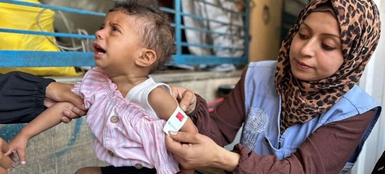 Crisis en Gaza: Los camiones con suministros esperan en la frontera mientras el hambre causa estragos