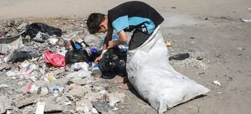 Más de 160 ONG exigen el cese del 