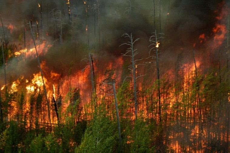Interior activa la Fase de Preemergencia por incendios forestales en España