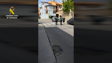 Desmantelan red de tráfico de reptiles en Valencia y arrestan a tres sospechosos