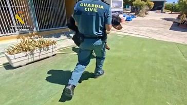Propietarios de escuela canina en Madrid investigados por maltrato animal