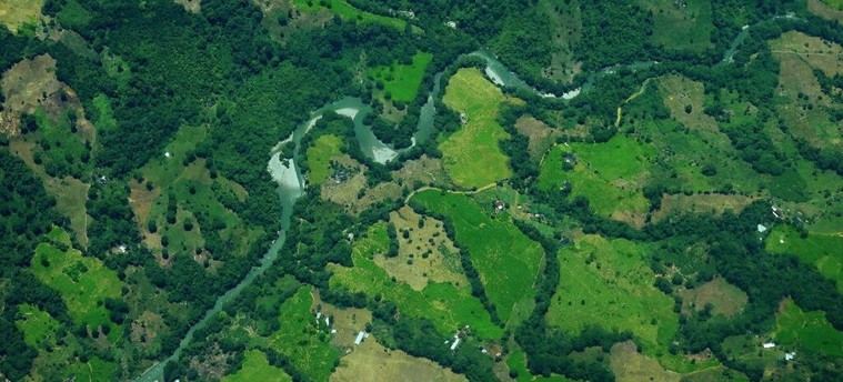 ¿Está Colombia realmente combatiendo el narcotráfico? La UNODC lanza alarmantes indicadores que podrían revelar la verdad oculta