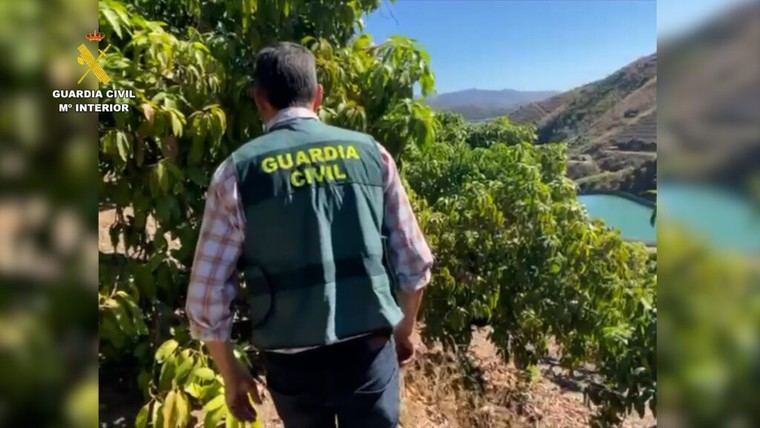 La Guardia Civil destapa un negocio millonario: Quiénes son los culpables de extraer 12 millones de litros de agua