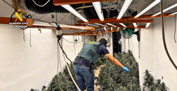 La Guardia Civil desmantela 40 cultivos de marihuana y confisca más de 13.000 plantas en Granada
