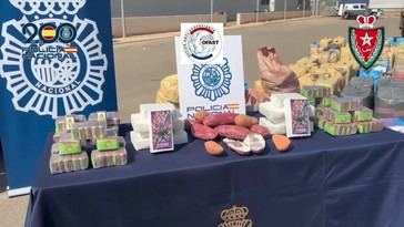 Desmantelan un camión con 15 toneladas de hachís ocultas entre sandías en Almería