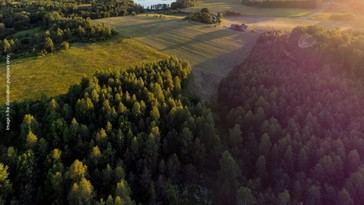 Cuatro detenidos en Lituania por fraude en fondos de desarrollo rural de la UE