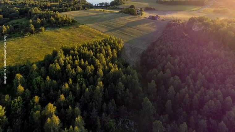 Cuatro detenidos en Lituania por fraude en fondos de desarrollo rural de la UE