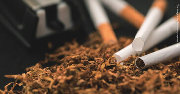 El Supremo de Lituania confirma condenas por contrabando de cigarrillos desde Bielorrusia