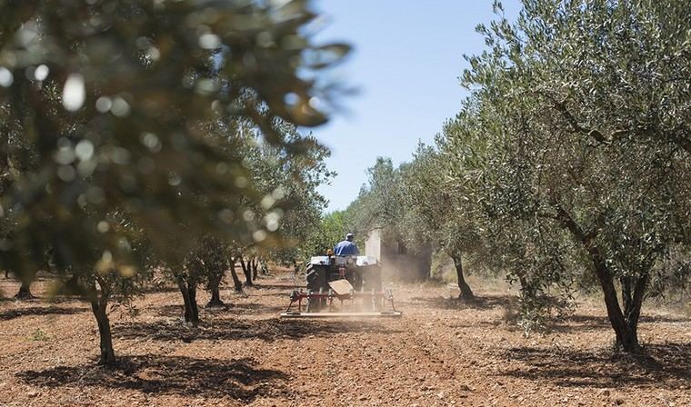 Fallece un hombre al volcar su tractor en Málaga