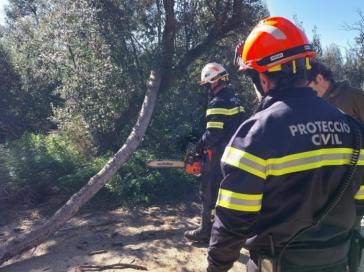 La Borrasca Nils causa 86 heridos y caos en Cataluña por los fuertes vientos